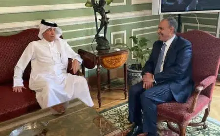 مصر وقطر تؤكدان مواصلة العمل المشترك لوقف العدوان الإسرائيلى الغاشم على غزة