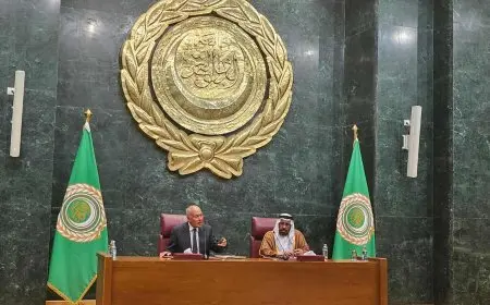 أبو الغيط: اتفاق على تحرك عربي جماعي للحفاظ على مشروع الدولة الفلسطينية