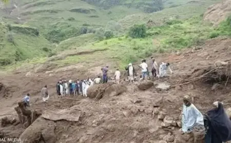 انتشال 370 جثة من ضحايا الانزلاق الأرضي في جبل مرة بالسودان