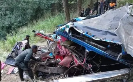 مقتل 15 شخصا وإصابة 16 إثر سقوط حافلة ركاب في جرف جبلي في سريلانكا