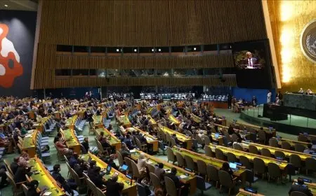 فنلندا تنضم إلى إعلان نيويورك بشأن الحل السلمي للقضية الفلسطينية وتطبيق حل الدولتين