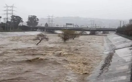 اليابان تحت رحمة العاصفة “بيباه”.. أمطار غزيرة وفيضانات متوقعة