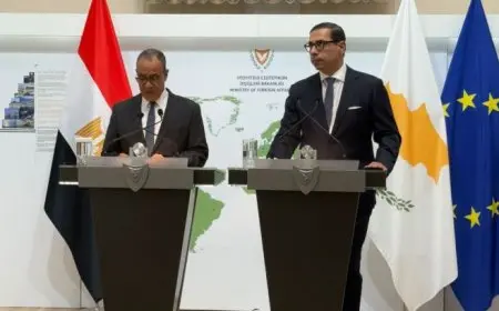 وزير الخارجية لنظيره القبرصي: مصر ترفض تهجير الفلسطينيين وتندد بتوسيع العمليات الإسرائيلية في غزة