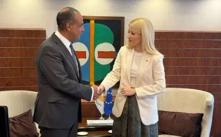 وزير الخارجية يبحث مع رئيسة البرلمان القبرصي تعزيز التعاون الثنائي وملف الطاقة شرق المتوسط