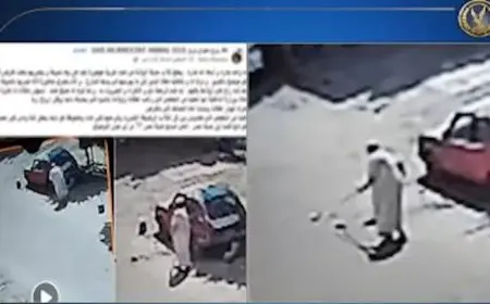 بعد تداول فيديو.. مسن يبرر اعتداءه على كلاب صغيرة بمدينة نصر: “خوفت يعضوني”