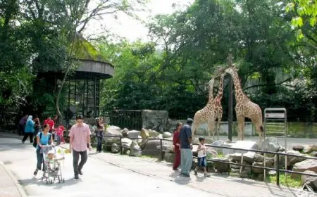 خبير بيئي: حدائق الحيوان خط الدفاع الأول لحماية الحياة البرية وصحة الإنسان