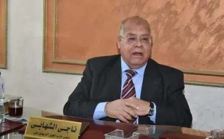 ناجي الشهابي: الائتلاف الوطني يخوض انتخابات مجلس النواب للفوز وليس للتمثيل المشرف