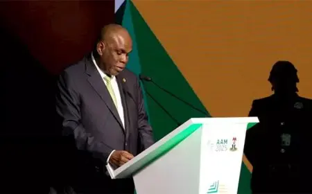 رئيس أفريكسيم: 4 تريليونات دولار الناتج المحلي للدول الأفريقية يمثل فرصة غير مسبوقة