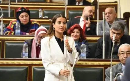 النائبة إيلاريا حارص: بيان وزارة الخارجية صفعة سياسية على وجه نتنياهو بعد تصريحاته الواهية