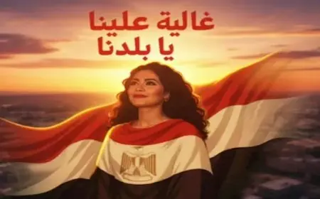 شيرين عبدالوهاب تجهز مفاجأة لجمهورها.. تعرف عليها