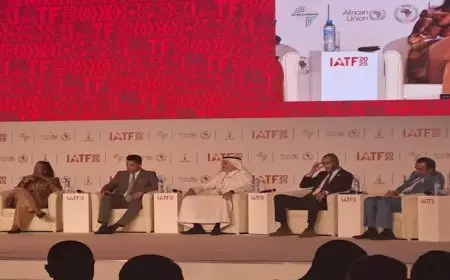 رئيس المؤسسة الإسلامية: أفريقيا تخسر 75% من القيمة المضافة خارج القارة