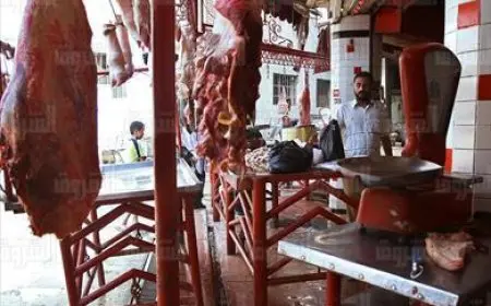 نقيب الفلاحين: لا تشتروا اللحم البلدي بأكثر من 350 جنيها.. الجزار بدل ما يذبح الذبيحة بيذبح الناس