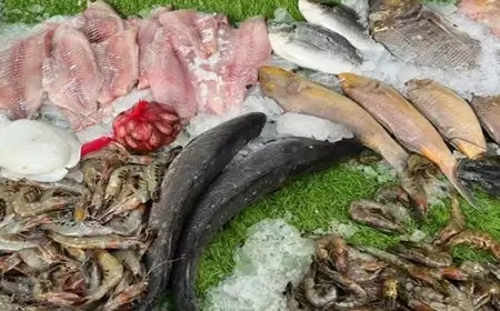 83 جنيهًا لكيلو البلطي.. أسعار الأسماك والمأكولات البحرية في سوق العبور اليوم