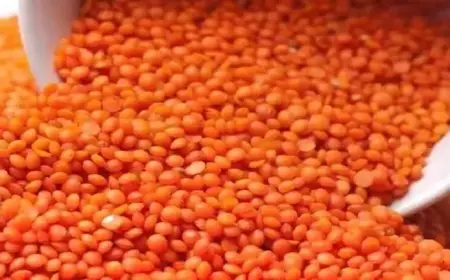 ارتفاع العدس.. أسعار السلع الأساسية بالأسواق اليوم (موقع رسمي)