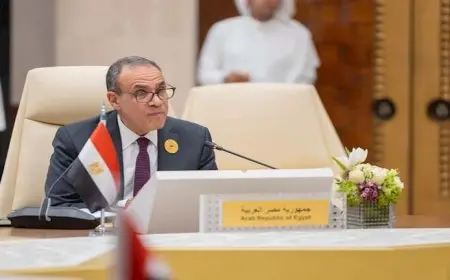 وزير الخارجية: مصر لن تتخلى عن مسؤولياتها تجاه فلسطين ومعبر رفح مفتوح