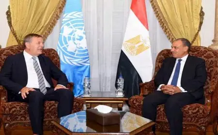 عبد العاطي: مصر تستعد لعقد مؤتمر دولي لإعادة إعمار غزة بعد وقف إطلاق النار