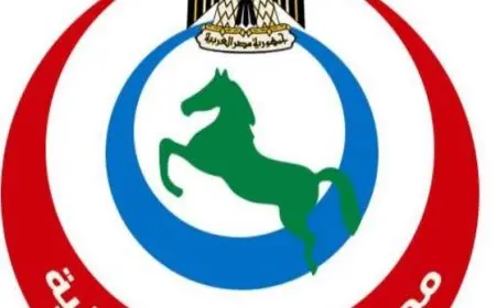 الصحة تطلق برنامجًا تدريبيًا لتقييم المستشفيات وتعزيز سلامة المرضى