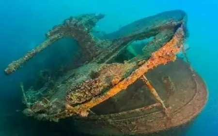 على عمق 23 مترًا.. حطام سفينة يتحول لمتحف تحت الماء برأس محمد (صور)