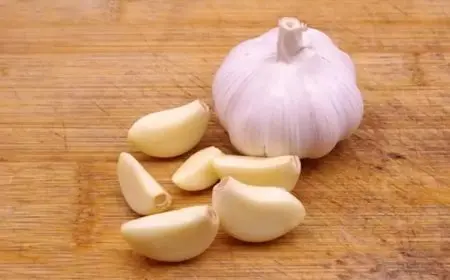 لماذا يجب أن تضيف الثوم إلى وجباتك يوميًا؟