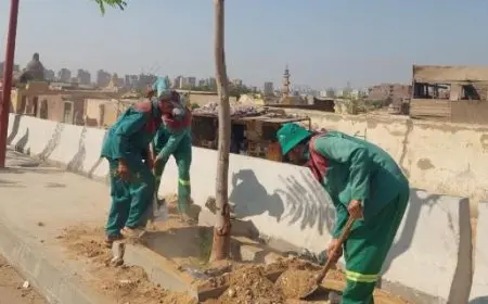 وزيرة التنمية المحلية: بدء أعمال زراعة محور صلاح سالم الجديد