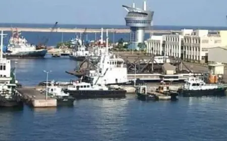 ميناء دمياط يستقبل خشب زان وذرة وأبلاكاش
