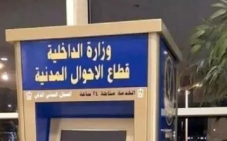 نقيب الفلاحين يتوقع استمرار ارتفاع أسعار الطماطم حتى نهاية أكتوبر المقبل
