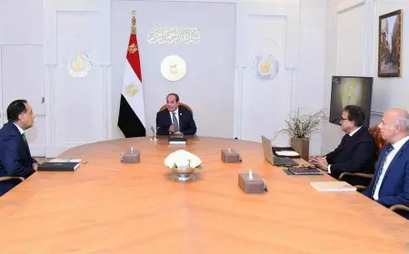 السيسي يشدد على دعم الاستثمار الخاص في المجال الطبي وصناعة الدواء