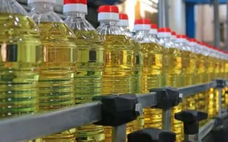 بسبب قرار إندونيسي.. أسعار الزيوت النباتية عند أعلى مستوى منذ 3 سنوات في أغسطس الماضي