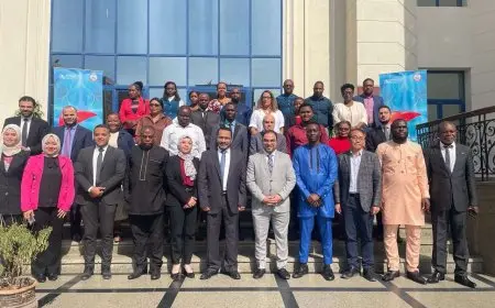 الصحة تنظم ورشة عمل إقليمية لتعزيز قدرات 13 دولة إفريقية في القضاء على التهاب الكبد الفيروسي