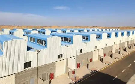 مصدر: الحكومة تستكمل 5 آلاف وحدة صناعية بنهاية العام وتطرح مُجمعين للتكنولوجيا