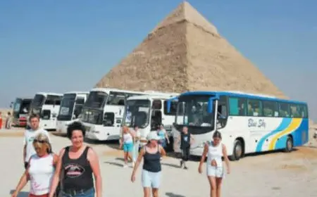 • مستثمرون: نقص وسائل النقل السياحى عائق أمام تحقيق مستهدف الـ30 مليون سائح