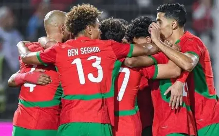 تقرير – الركراكي يزأر مع الأسود.. المغرب «يشرق كرويا» بعد التأهل للمونديال