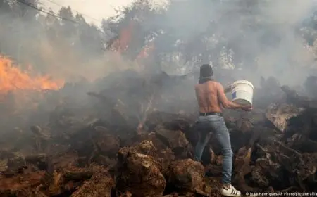 بسبب الرياح القوية.. اشتعال حرائق غابات في البرتغال وإسبانيا