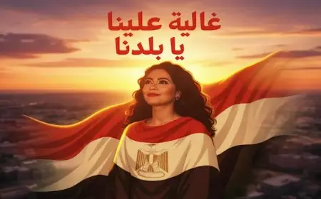 قبل إعلان شيرين عن طرحها.. “غالية علينا يا بلدنا” أغنية أشعلت غضب عمرو مصطفى في 2024