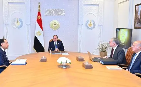 السيسي يوجه بسداد مستحقات الشركات الأجنبية العاملة بمجال البترول لتعزيز مكانة مصر كمركز إقليمي للطاقة