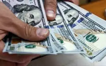 خبراء لـ الشروق: خفض الفائدة لن يؤثر في جاذبية الاستثمار في شهادات الادخار