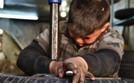 تحركات برلمانية لتجريم تشغيل الأطفال بعد دخول قانون العمل الجديد حيز التنفيذ