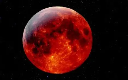 وكيل تعليم الغربية يوجه بضرورة الاستعداد الجاد لاستقبال العام الدراسي