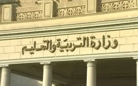التعليم تعلن تعديل قرار الدراسة بالمدارس الرسمية للغات.. تفاصيل