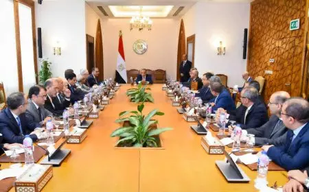 وزير الخارجية: تعزيز قنوات التواصل مع الجاليات المصرية بالخارج وتيسير الخدمات المقدمة للمواطنين