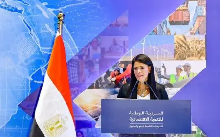 المشاط: السردية الوطنية تُعظم الاستفادة من المقومات الفريدة للاقتصاد المصري لزيادة الإنتاجية والصادرات