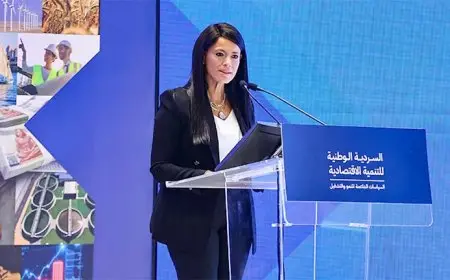 المشاط: السردية الوطنية للتنمية الاقتصادية تستهدف إعادة تعريف دور الدولة في النشاط الاقتصادي