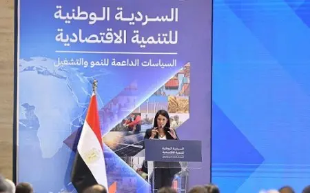 المشاط: إعادة هيكلة 59 هيئة اقتصادية لرفع كفاءة الأداء وتقليل التداخل في الاختصاصات وترشيد الإنفاق العام