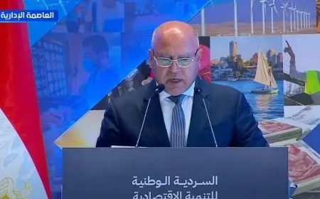 كامل الوزير: شراكات مع المستثمرين الأجانب والشركات العالمية لتعزيز الصناعة والخدمات اللوجستية