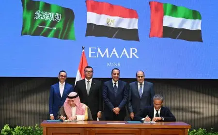 شركة سيتي ستارز السعودية: مراسي البحر الأحمر مشروع فريد يغير ملامح المنطقة الساحلية