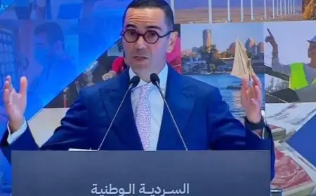 وزير الاستثمار: الاستثمارات الأجنبية الحالية لا تعكس طموحات الاقتصاد المصري