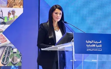 وزيرة التخطيط: إطلاق تطبيق شارك في السردية الوطنية لإتاحة الاطلاع على الوثيقة وكتابة الملاحظات