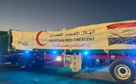 وفد من وزارة التضامن يزور ألمانيا لتجهيز مراكز تجميع ومواءمة الأطراف الصناعية