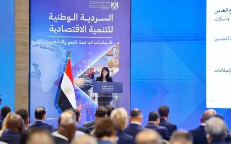 السردية الوطنية للتنمية الاقتصادية.. ما هي؟ ولماذا أُطلقت؟ (تفاصيل كاملة)