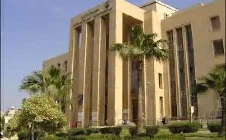 الإسكندرية تختتم فعاليات أول مدرسة صيفية للصحة الواحدة 2025